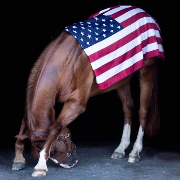 Meet your Posher, Darla - Picture 1 of 1